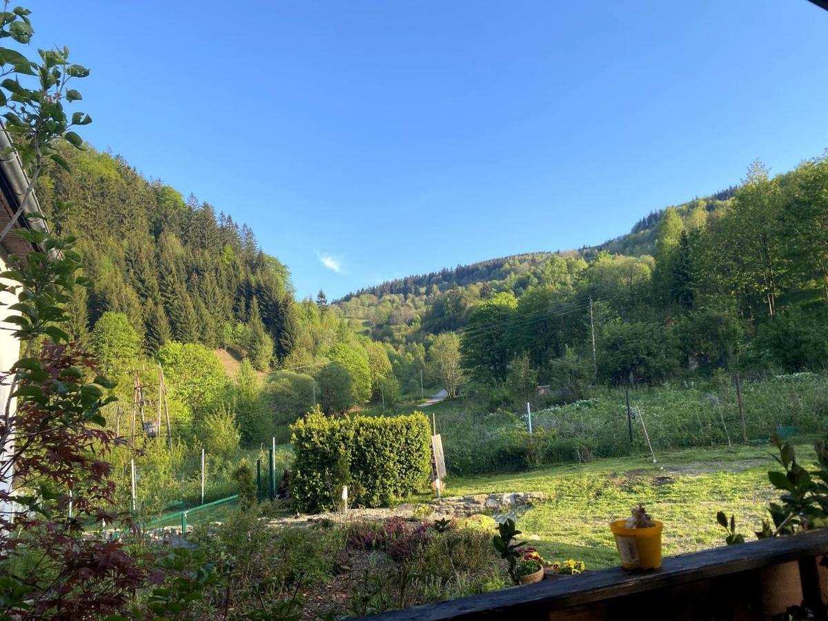 Dom Supelek Bed & Breakfast Duszniki Zdroj Bagian luar foto
