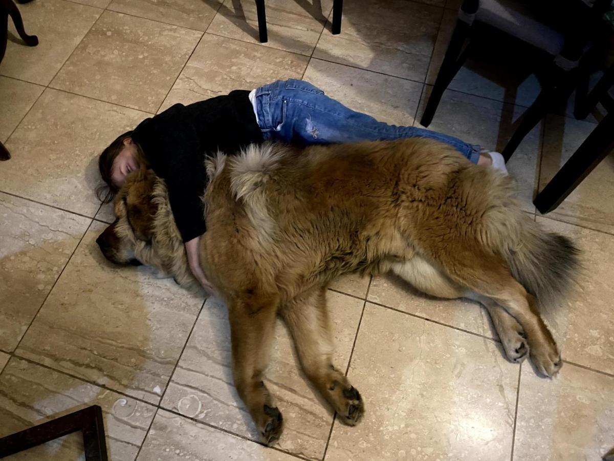 Dom Supelek Bed & Breakfast Duszniki Zdroj Bagian luar foto
