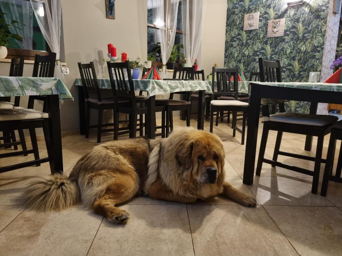 Dom Supelek Bed & Breakfast Duszniki Zdroj Bagian luar foto