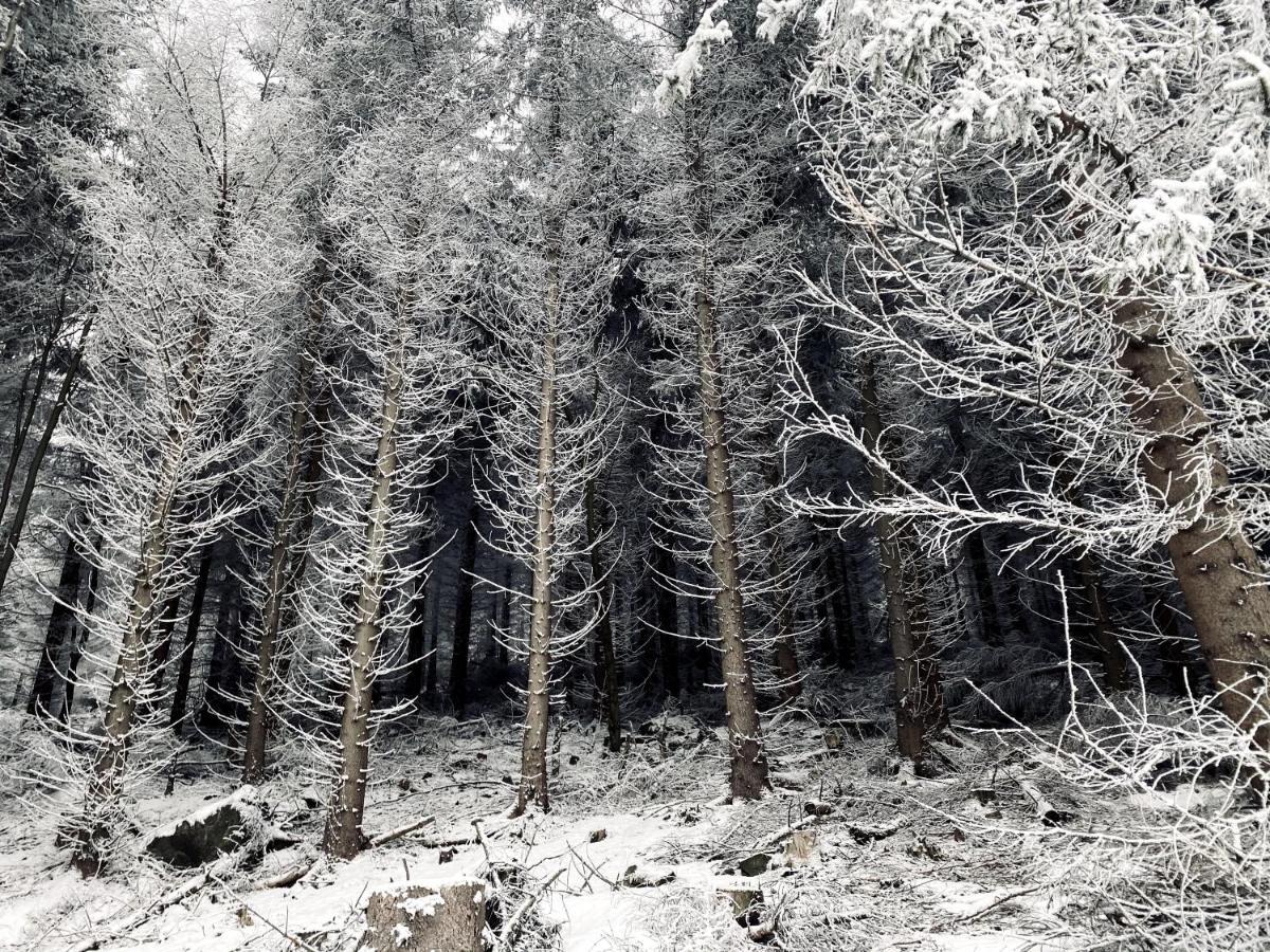 Dom Supelek Bed & Breakfast Duszniki Zdroj Bagian luar foto